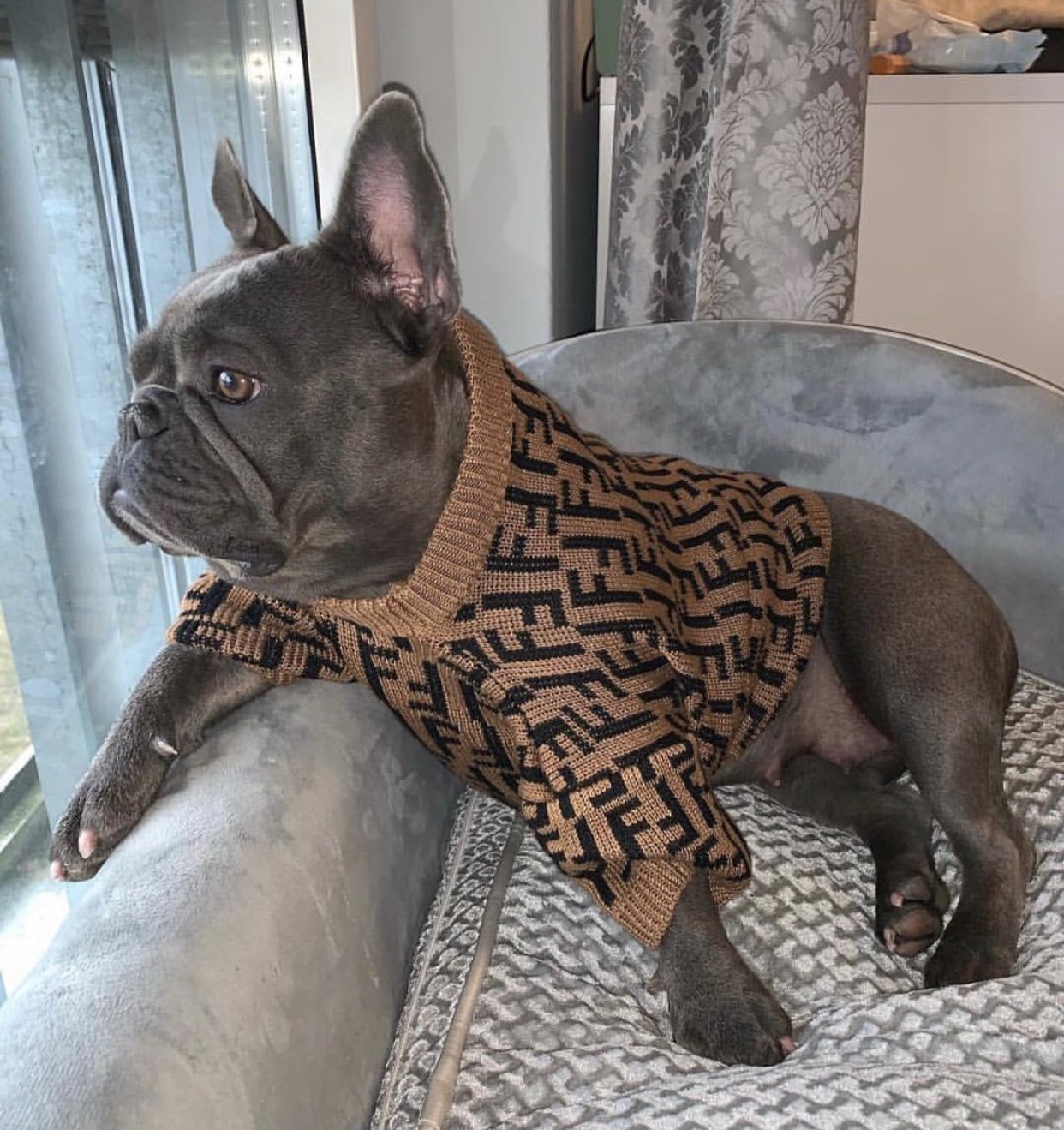 Louis Pup Monogram Knit Sweater