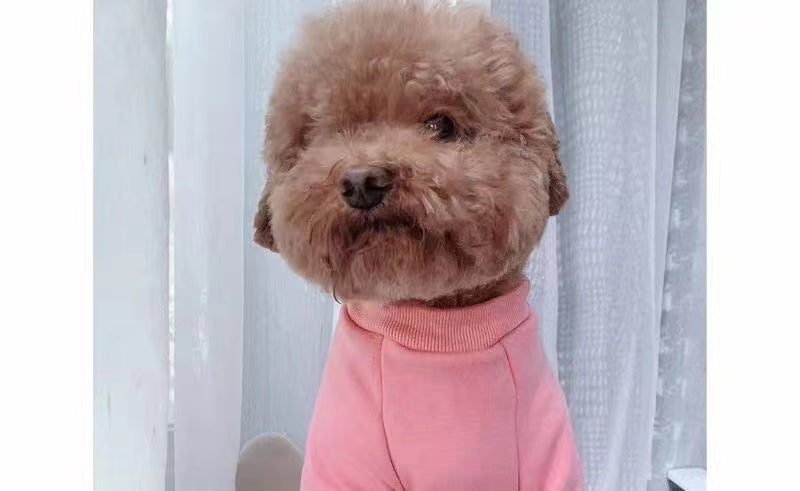 Lovin' Leopard - Pink Dog Sweater* – Yuppy Puppy Boutique