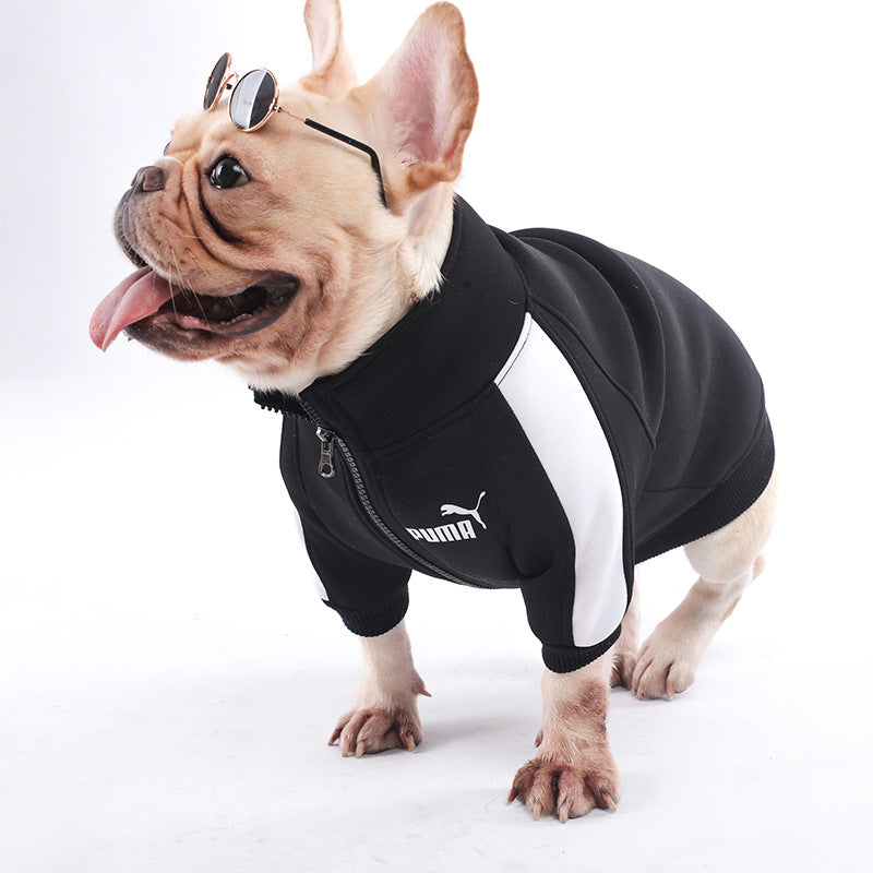 puma track jacket for dog