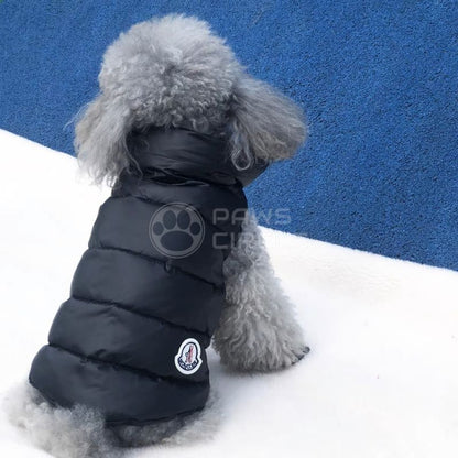 dog in moncler jacket