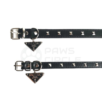 Pawda Studded Collar & Leash