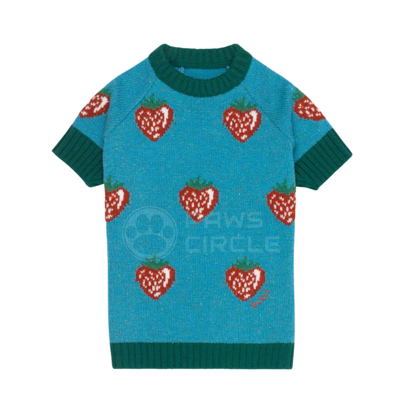 Gucci strawberry Pet Sweater