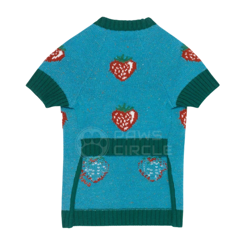 Gucci sales strawberry sweater