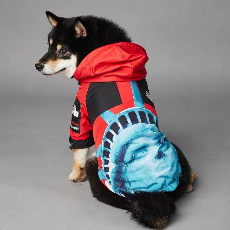 streetwear dog windbreaker