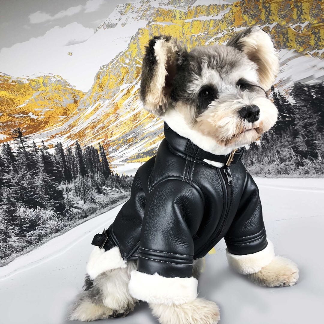 Dog shop leather coat