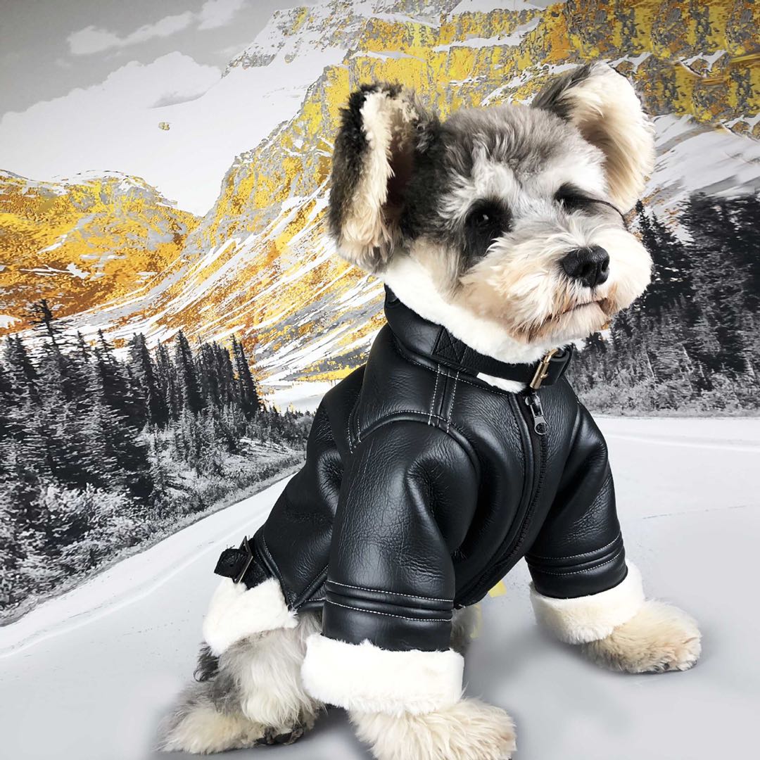 Winter Dog Jacket in leather and fleece