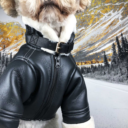 Winter leather jacket for dog with zipper