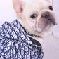 French Bulldog wearing a Dior inspired windbreaker