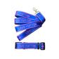 LV dog collar and leash in blue