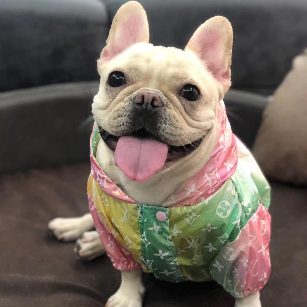Louiv Vuitton Rainbow colour dog coat