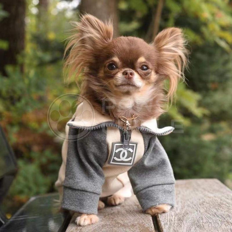 chewnel dog sweater