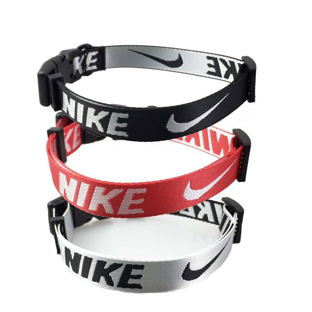Nike dog collar and leash set