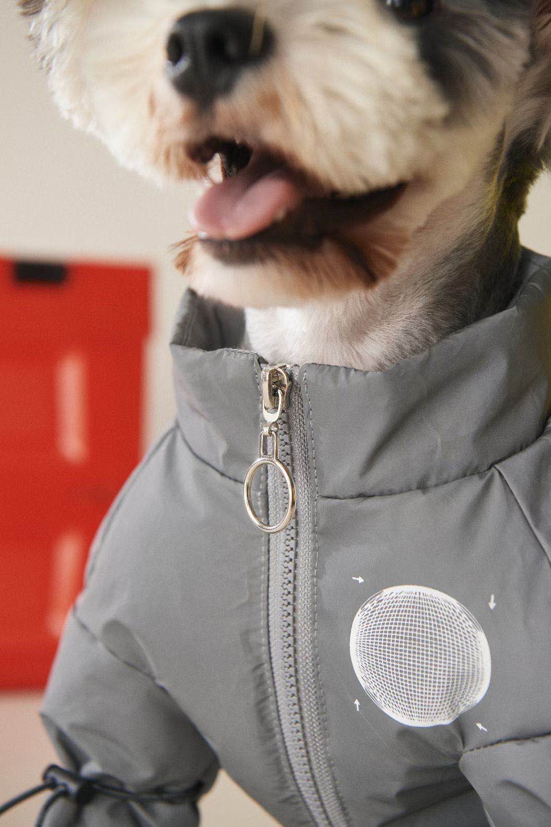 dog streetwear