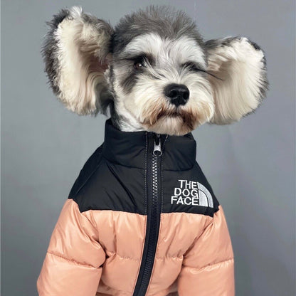 dog streetwear