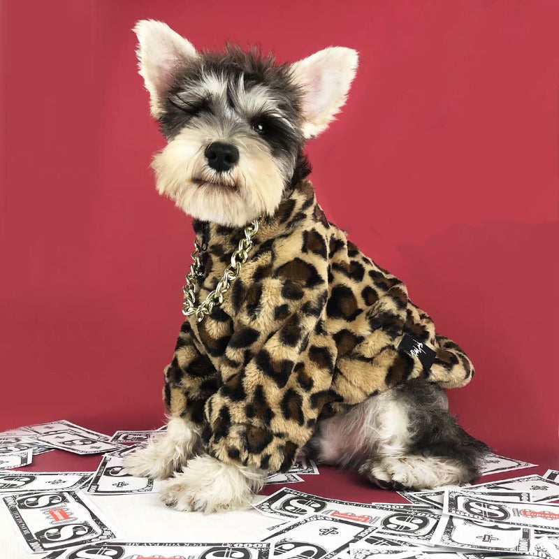 Hip Hop style dog coat