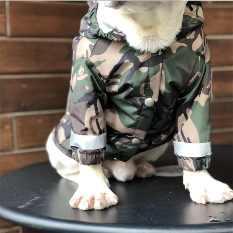 Streetwear inspired lightweight dog summer coat