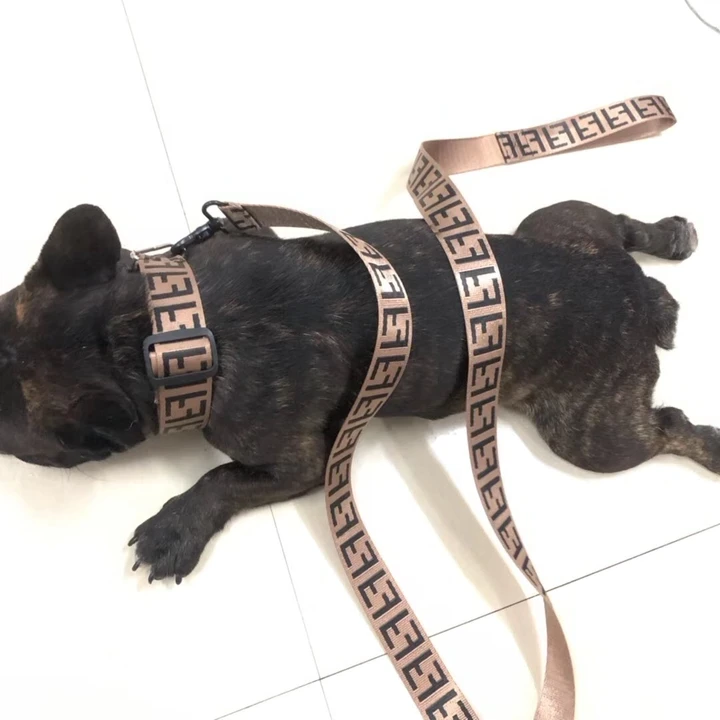 Fendi dog collar and leash set