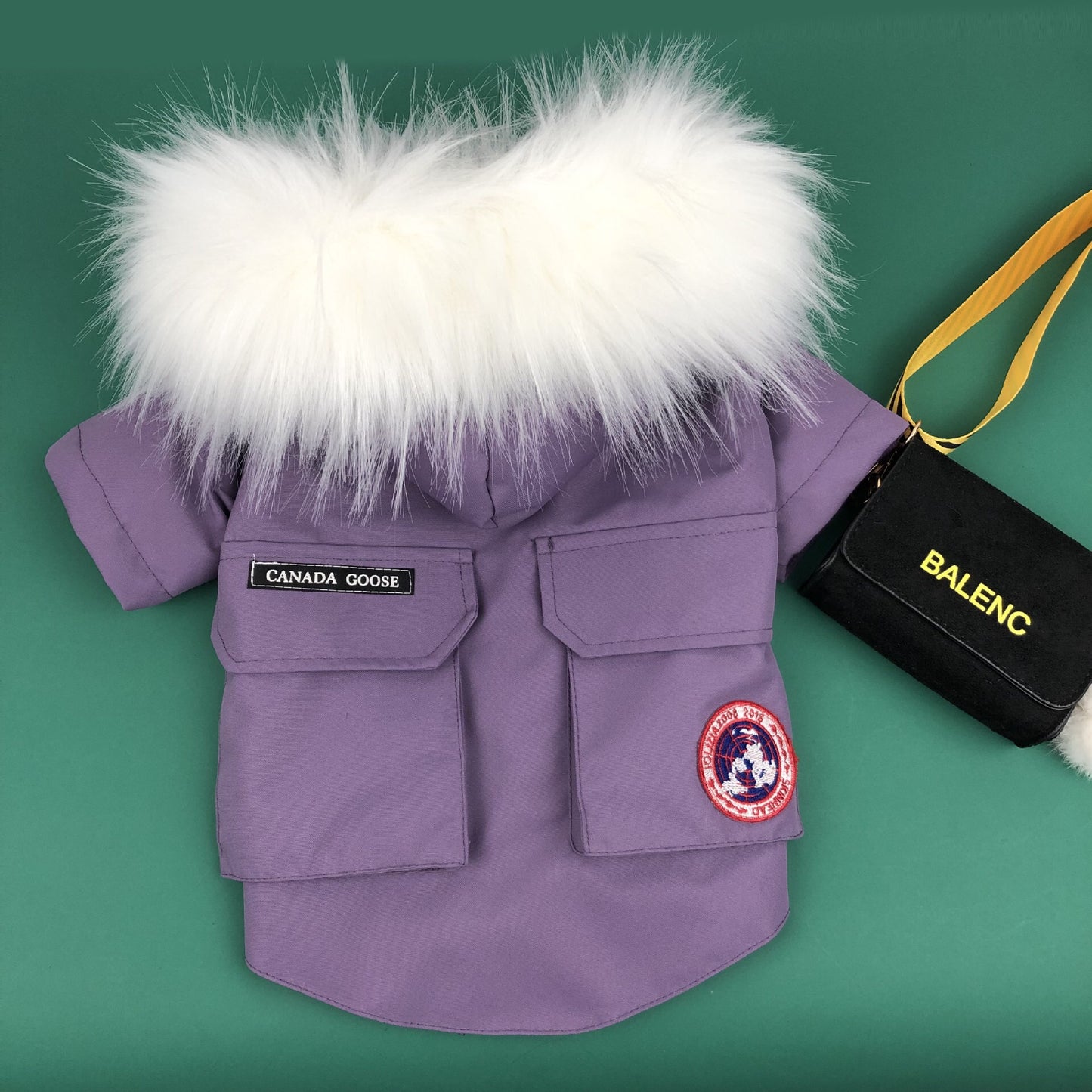 purple colour Canada Goose dog jacket with faux fur