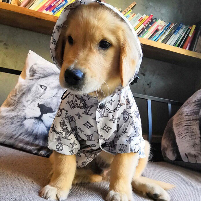 Louis Pup Tie Dye Dog Vest, Paws Circle