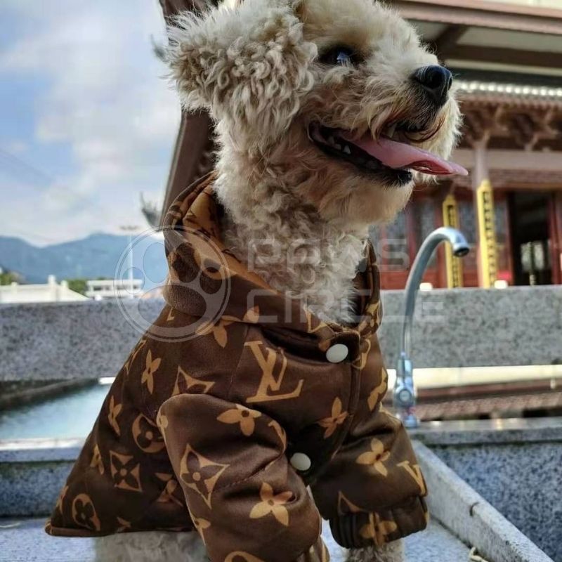 designer dog jacket