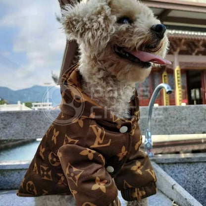 designer dog jacket