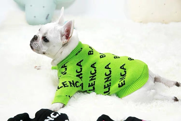 Pawlenciaga Designer Dog Shirt