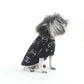 Designer dog shirt in black colour