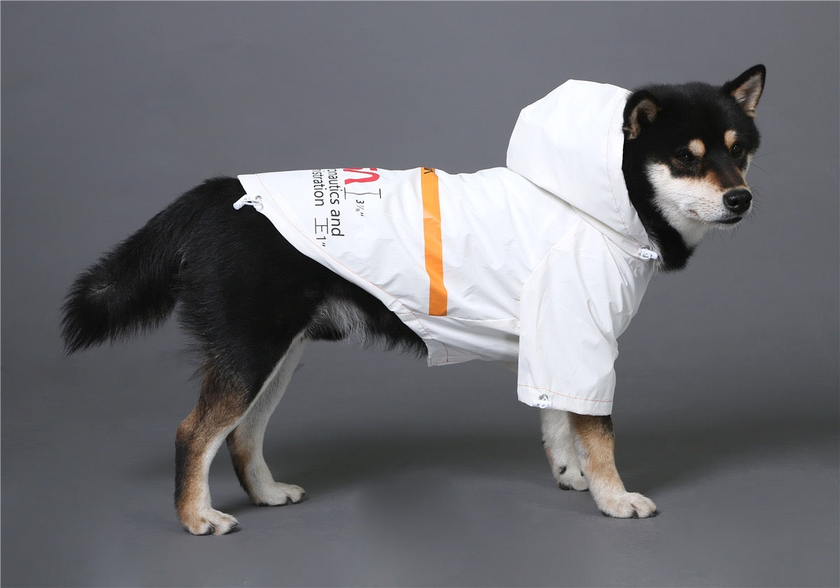 designer dog jacket in white