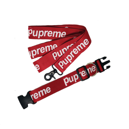 supreme dog collar and leash set