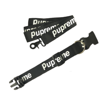 Pupreme Dog Collar Leash Paws Circle Streetwear Dog Walking Set