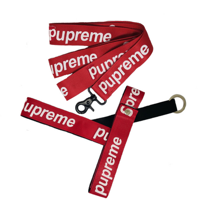 Supreme Dog harness and leash set