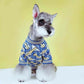 Designer dog sweater in blue and yellow colour