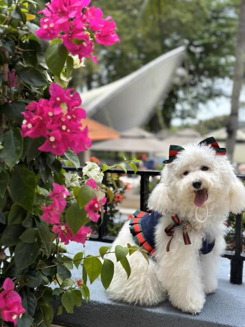 Image #1 from Carrie McWell