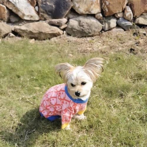 Image #1 from Janelle Wilson