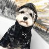 Pawcler Dog Jacket with hood