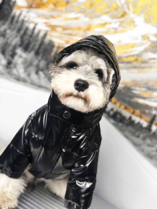Pawcler Dog Jacket with hood