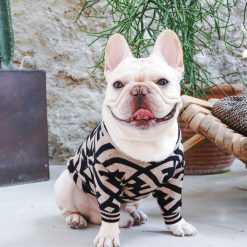 fendi dog sweater in knit