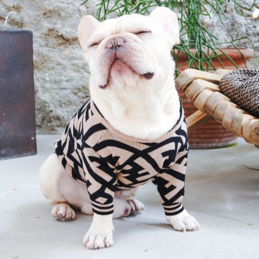 high end dog clothing