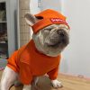 supreme box logo beanie for dog