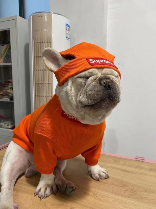 supreme box logo beanie for dog