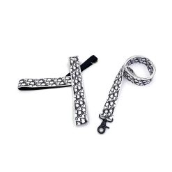 Christian Dior Dog Harness and leash set