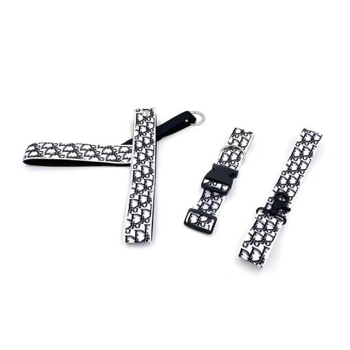 Christian Dior Dog Walking Accessories Set