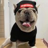 supreme beanie for dog