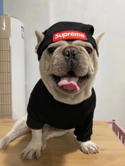 supreme beanie for dog