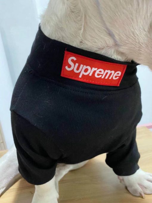 supreme box logo for dog