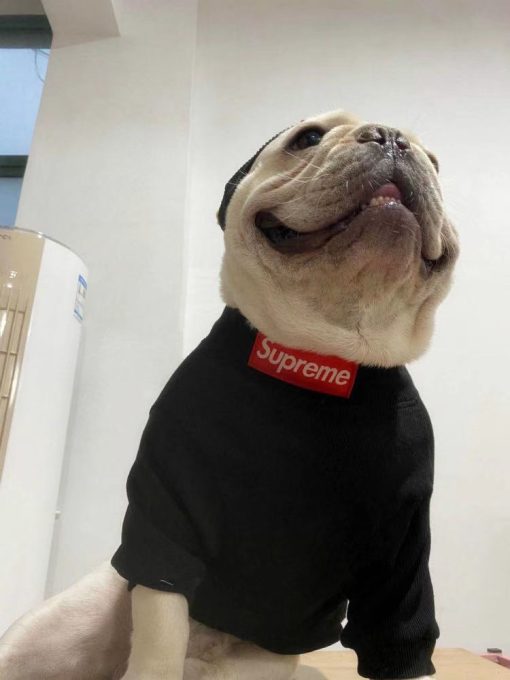 supreme bogo dog sweater