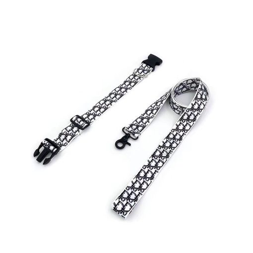 Christian Dior dog collar and leash set