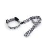 Dior dog collar and leash set