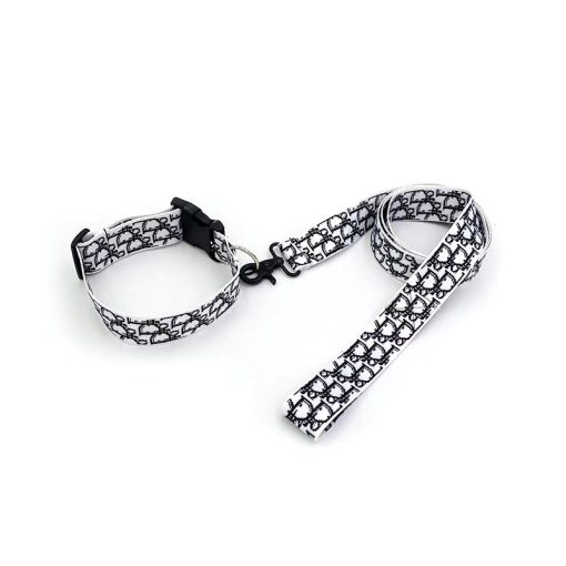 Dior dog collar and leash set