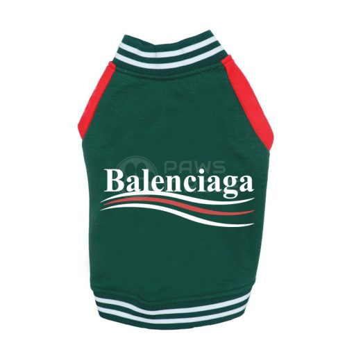 Green pet sweater with Balenciaga logo on a white background